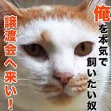 25038_main