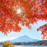 tenki_jp_15811_main