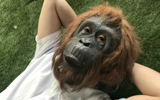 Japanese Super Realistic Orangutan Masks Let You Lounge and Terrify as Dr. Zaius