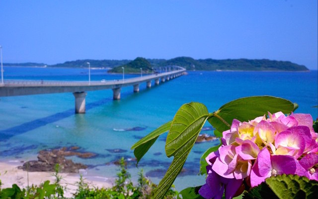 Is This Really Japan? An Amazing View That Reminds You Of A Tropical Island