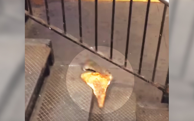 [VIDEO] Life Is Tough In The City: A Rat Dragging A Pizza Down The Stairs In NYC Subway