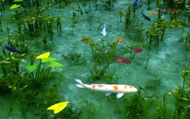 This Stunningly Beautiful Pond Is Just Like A Monet Painting