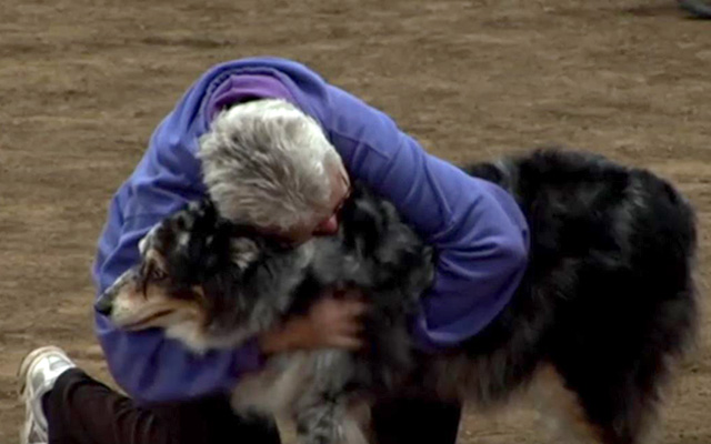 One Last Time: This Senior Dog’s Agility Run Leaves Us In Tears