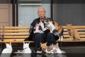 Japan Has A Temple For Cats, And It’s Really Sweet
