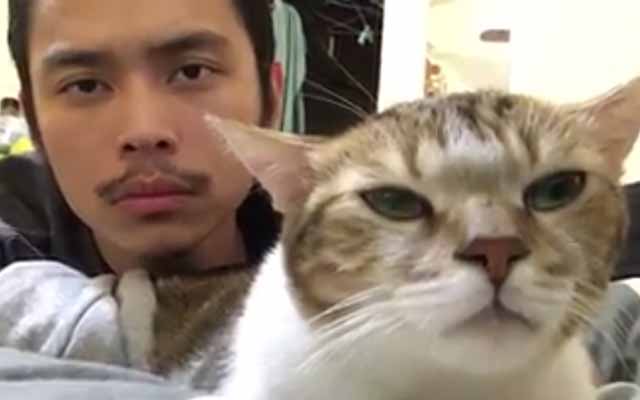 Cat And Human Show Off Their Own Moves To Hotline Bling