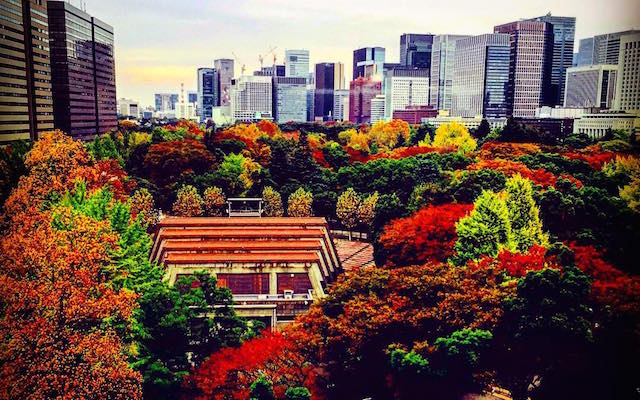 Feel The Autumn In The Middle Of Tokyo – A Great Spot For A Romantic Date Too!