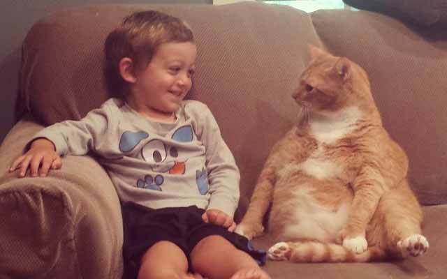Unwanted Cat Becomes Little Boy’s Guardian, And Now They’re Inseparable
