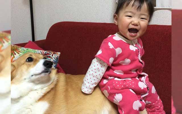 Adorable Baby And Corgi Are BFFs And It’s The Sweetest Thing