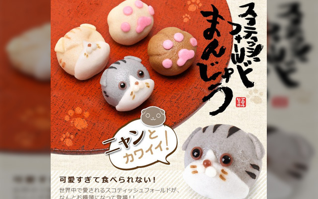 Traditional Japanese Snacks Shaped Like Scottish Fold Cats–Too Cute To Eat!