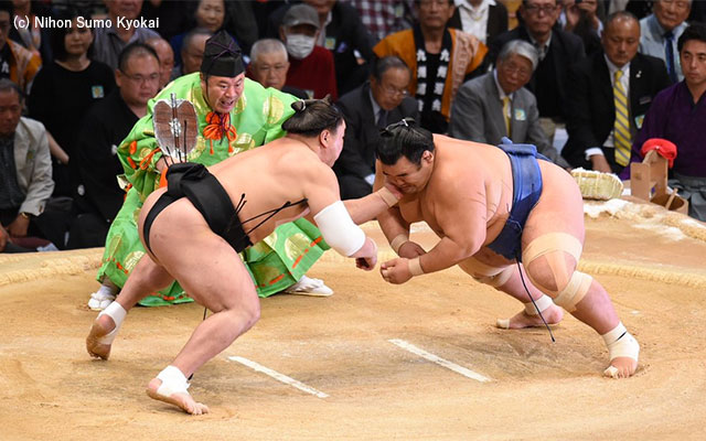 A Japanese Wrestler Might Become A Sumo Champion For The First Time In 10 Years!