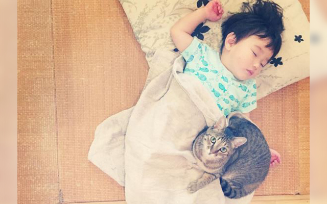 Toco The Cat Adorably Watches Over His Baby Brother During Naptime