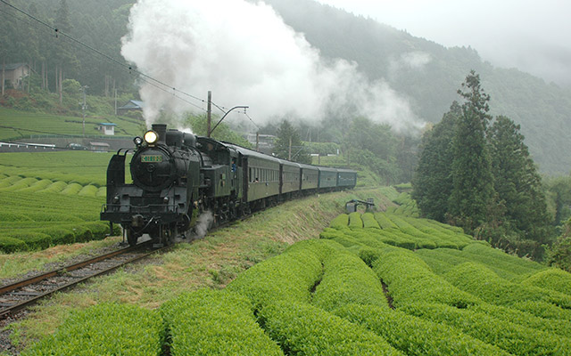 11-Hour Slow Journey On Classic Showa Locomotive Will Take You Back In Time!!