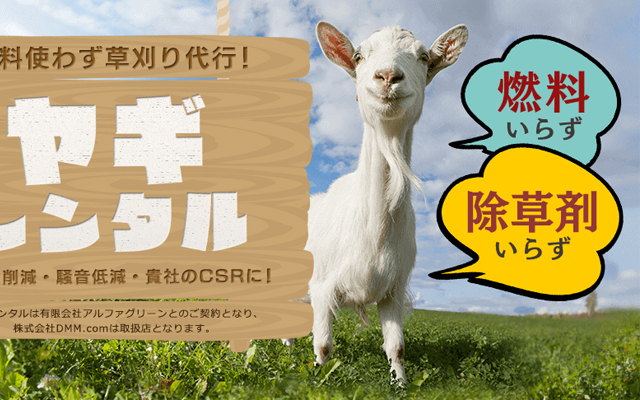 Japanese Company Lets You Rent A Goat For Your Landscaping Needs