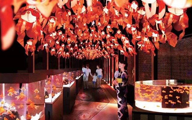 The New Edo Goldfish Wonderland Opens In Tokyo’s Skytree With 1000 Goldfish