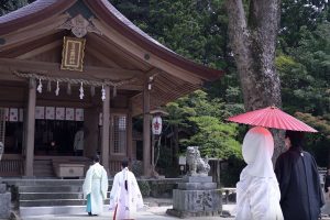 Simply Breathtaking 4K Videos Of Japanese Shrine Shows Off Beautiful Passing Of Seasons