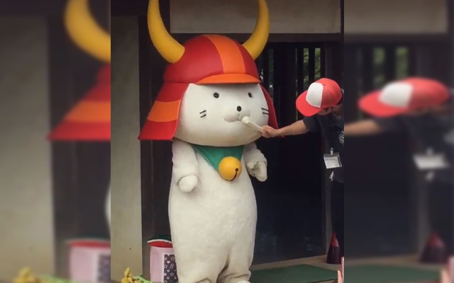 Japan Loves Their Mascots So Much This One Even Gets A Grooming