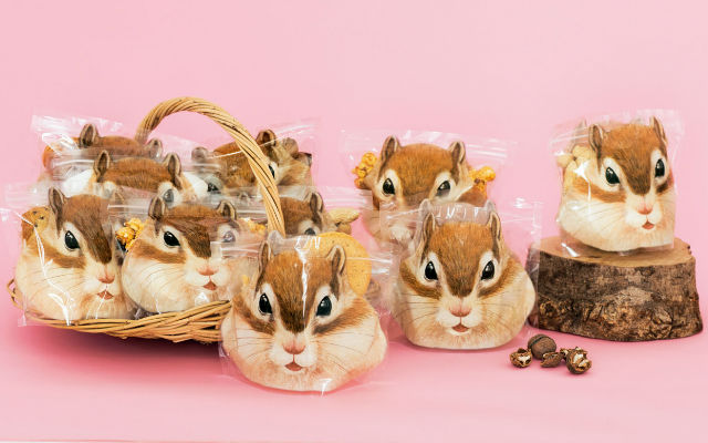 Hide Your Favorite Snacks In The Cheeks Of These Releasable Chipmunk Bags