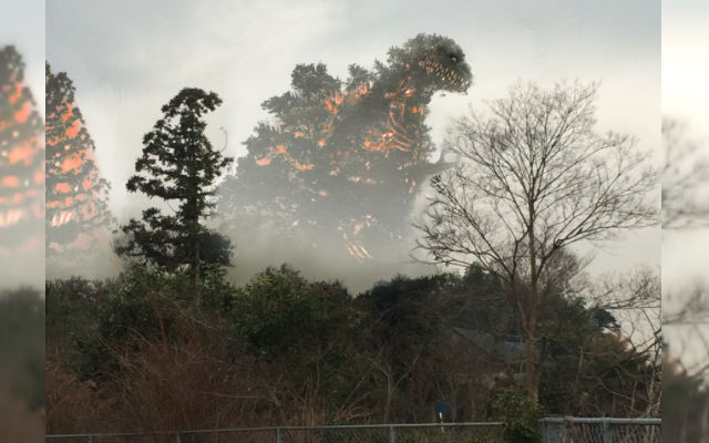 Creative Neighbor Uses Photoshop Skills To Turn Tree Into Japan’s Most Iconic Kaijū