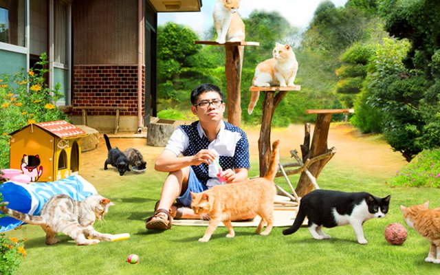 Game App Neko Atsume Is Coming To Japanese Theaters In Live-Action