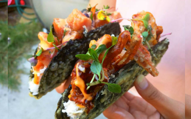 Norigami:  Crispy, Crunchy Seaweed Tacos Combine Sushi, Ramen, And More