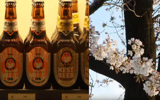 Isetan’s Sui no Za Is A Must Stop By Emporium Of Sake And Beer From All Over Japan
