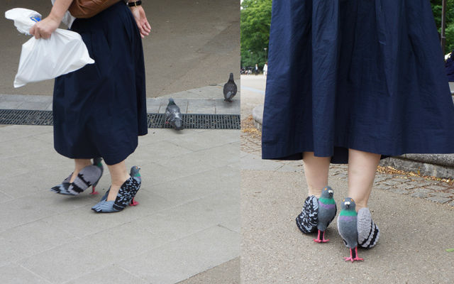 Japanese Woman Wears Handmade Pigeon Heels To Make Friends With Pigeons