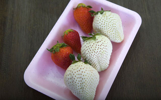 Japan’s Rare “White Jewel” Strawberries Are Berry Expensive