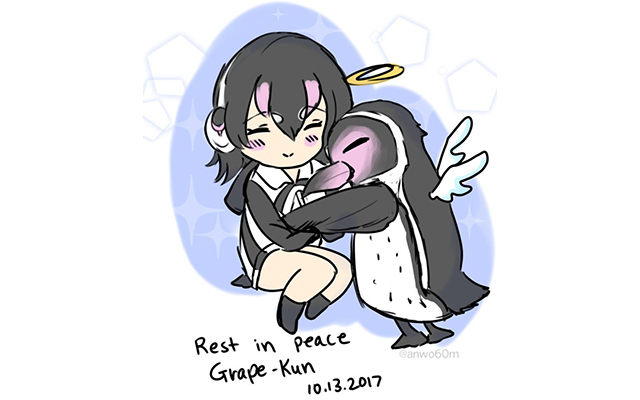 Rest in Peace Grape, The Penguin Who Loved a Cardboard Anime Cutout – grape  Japan