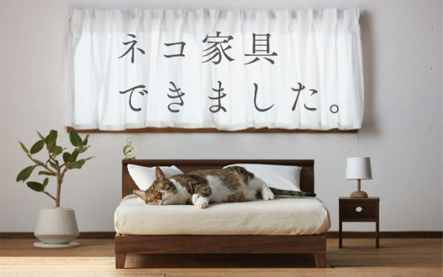 Japanese Crafts Companies Create High Quality Sets Of Miniature Furniture For Cats