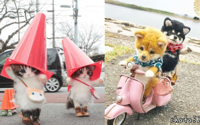 This Instagram Account Of Wool Felt Kitty And Puppy Adventures In Japan Is Just Too Cute