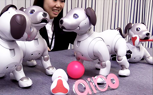 Sony’s Upgraded Pet Robot Dog Aibo Will Steal Your Heart [Video]