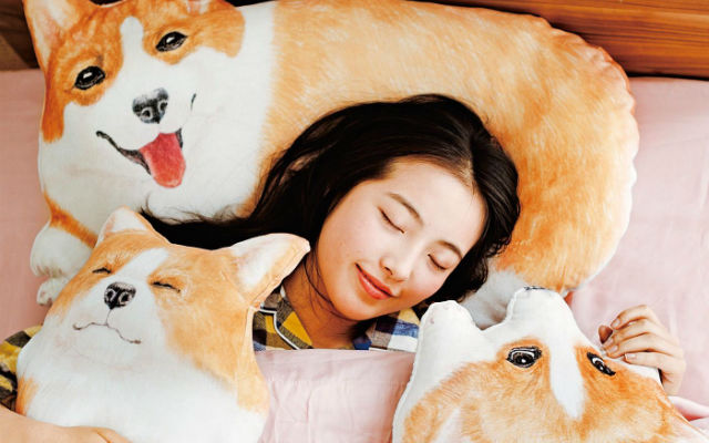 Make Your Bed With Fluffy Corgi Faces And Butts With These Awesome Corgi Pillow Cases