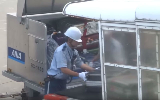 The Way These Japanese Airline Baggage Handlers Unload a Plane is Surprising a Lot of People