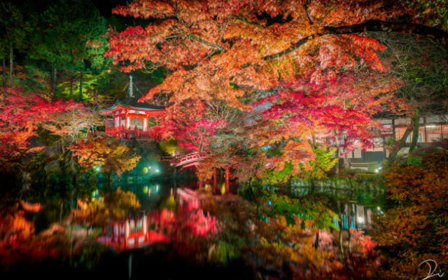 This Photographer Shows Why Kyoto is One of The Most Beautiful Places on Earth