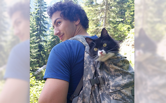 This Outdoorsy Cat Loves Taking Hikes, And Will Even Take Lead On The Trail!