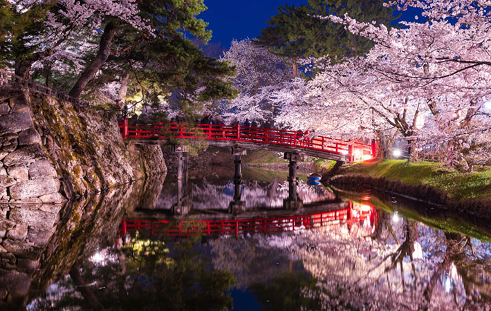 One of Japan’s Most Famous Cherry Blossom Viewing Spots is Even More Magical After Dark