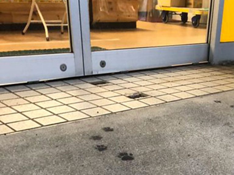 Japan’s Black Cat delivery service puts a kitty surprise outside their pickup center
