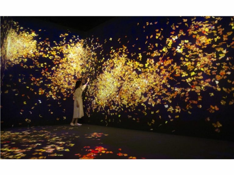Beautiful digital art paints the teamLab Forest in Fukuoka with the colors of autumn