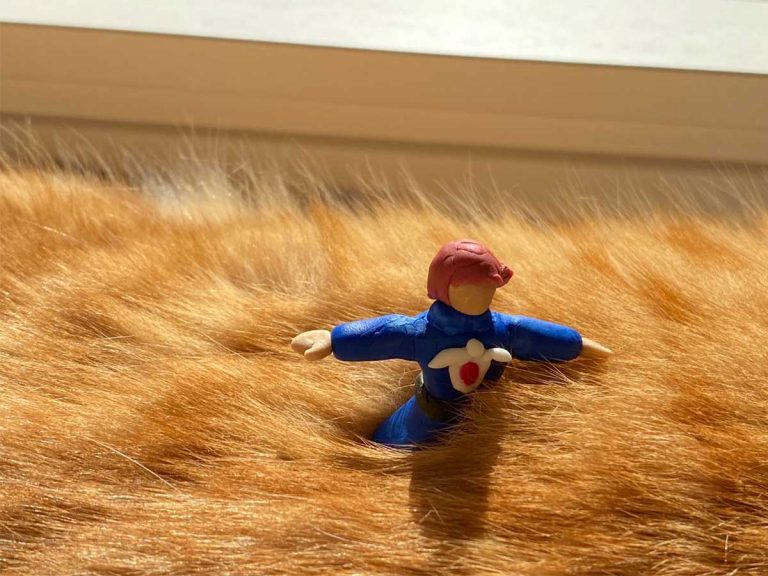 Recreate famous Studio Ghibli scene in your cat’s fur, win the hearts of Japanese people online