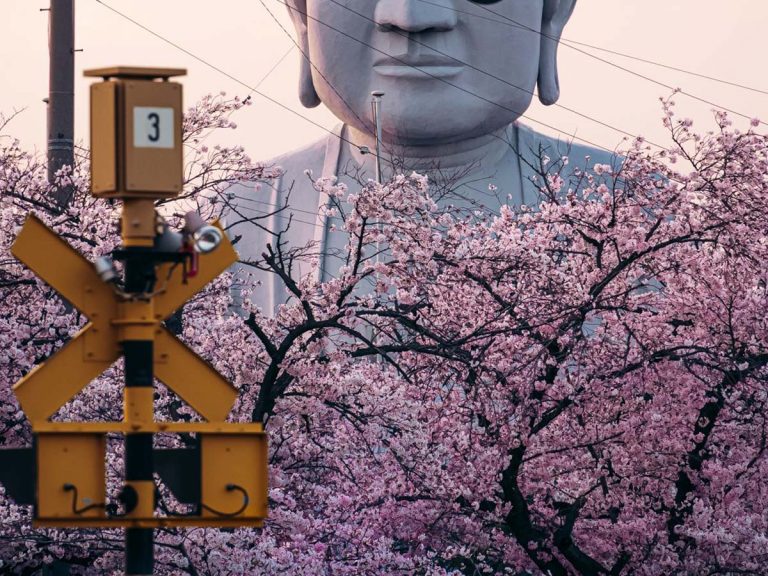 The most stylish Buddha in Japan gets a fashionable upgrade during sakura season