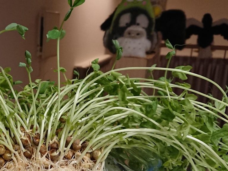 Pea shoots bought at a Japanese supermarket made 50,000 people laugh on Twitter