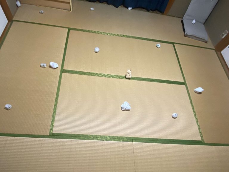 Can you find the hamster? Japanese Twitter is stumped by super difficult, rodent-based puzzle