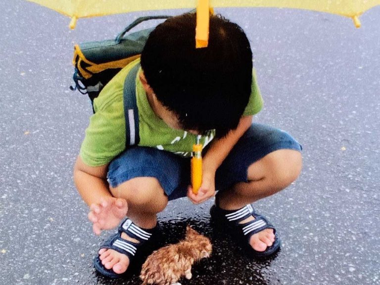10-year-apart before and after photos of boy and kitten he saved in rain warms hearts in Japan