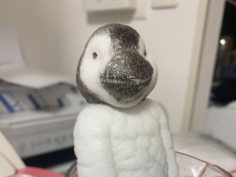 Twitter user’s Japanese “penguin egg” hatches into some quite different
