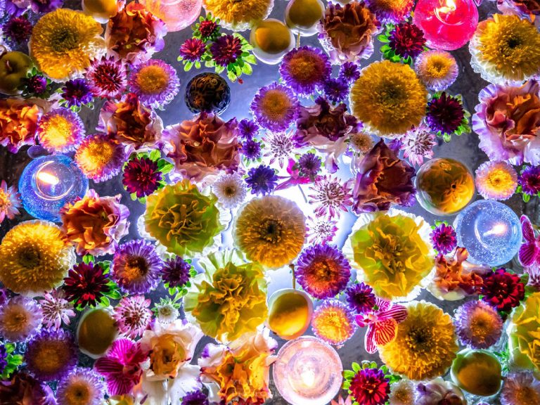 Photographer captures stunning shots of sea of flowers at shrine’s purification fountain