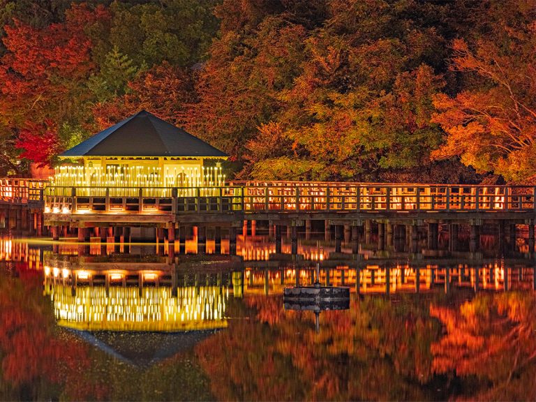 Lantern illumination displays turns Kyoto shrine pond into palace of light in stunning photos