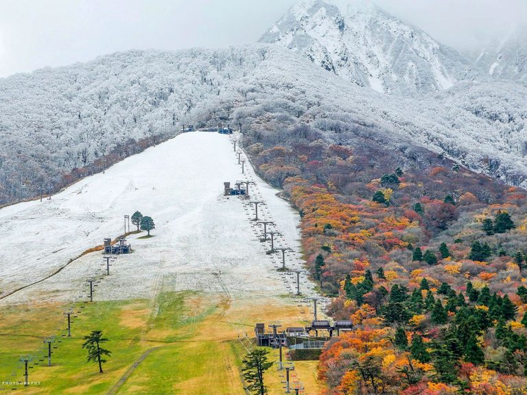 Rare shot shows Japan’s distinct seasons meeting beautifully in one place