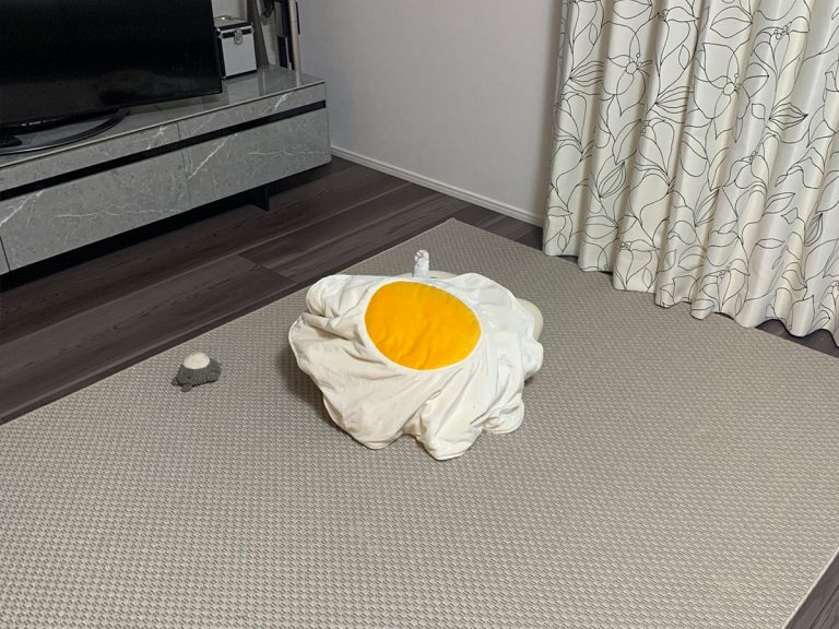 Cat’s love for their fried egg blanket leads to dramatic communication with owner
