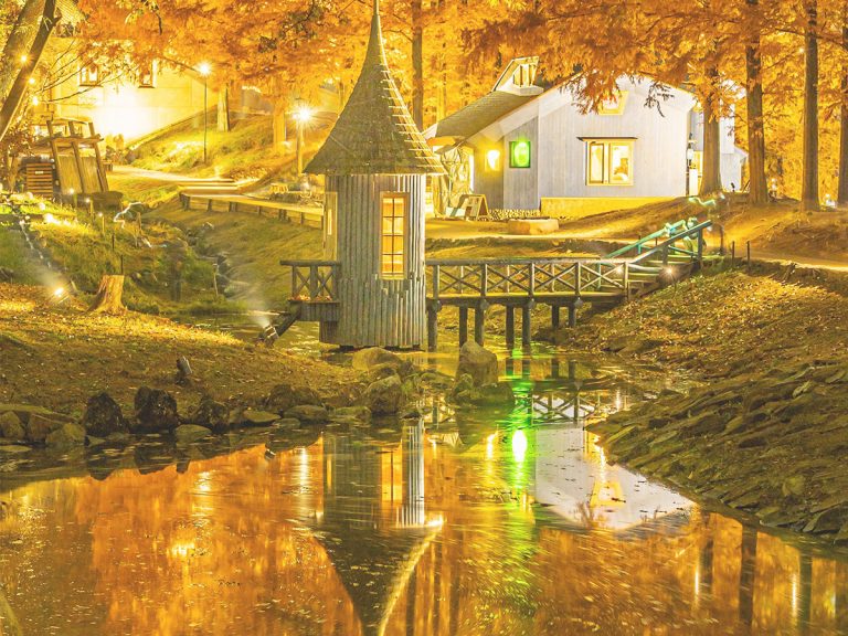 Japanese Twitter users wowed to find stunning fairytale shot of forest village is actually from Japan