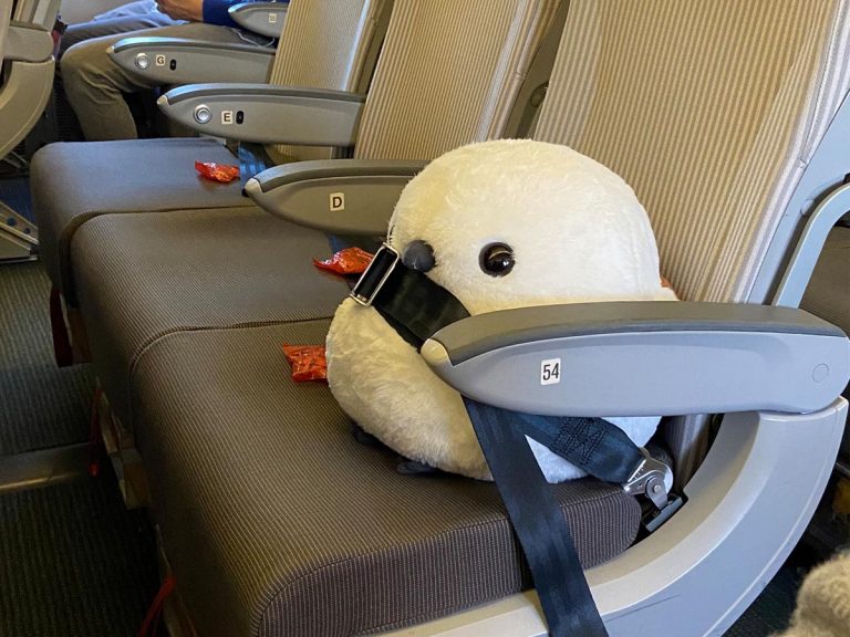 Twitter floored by Japanese flight attendant’s service for customer with large plushie